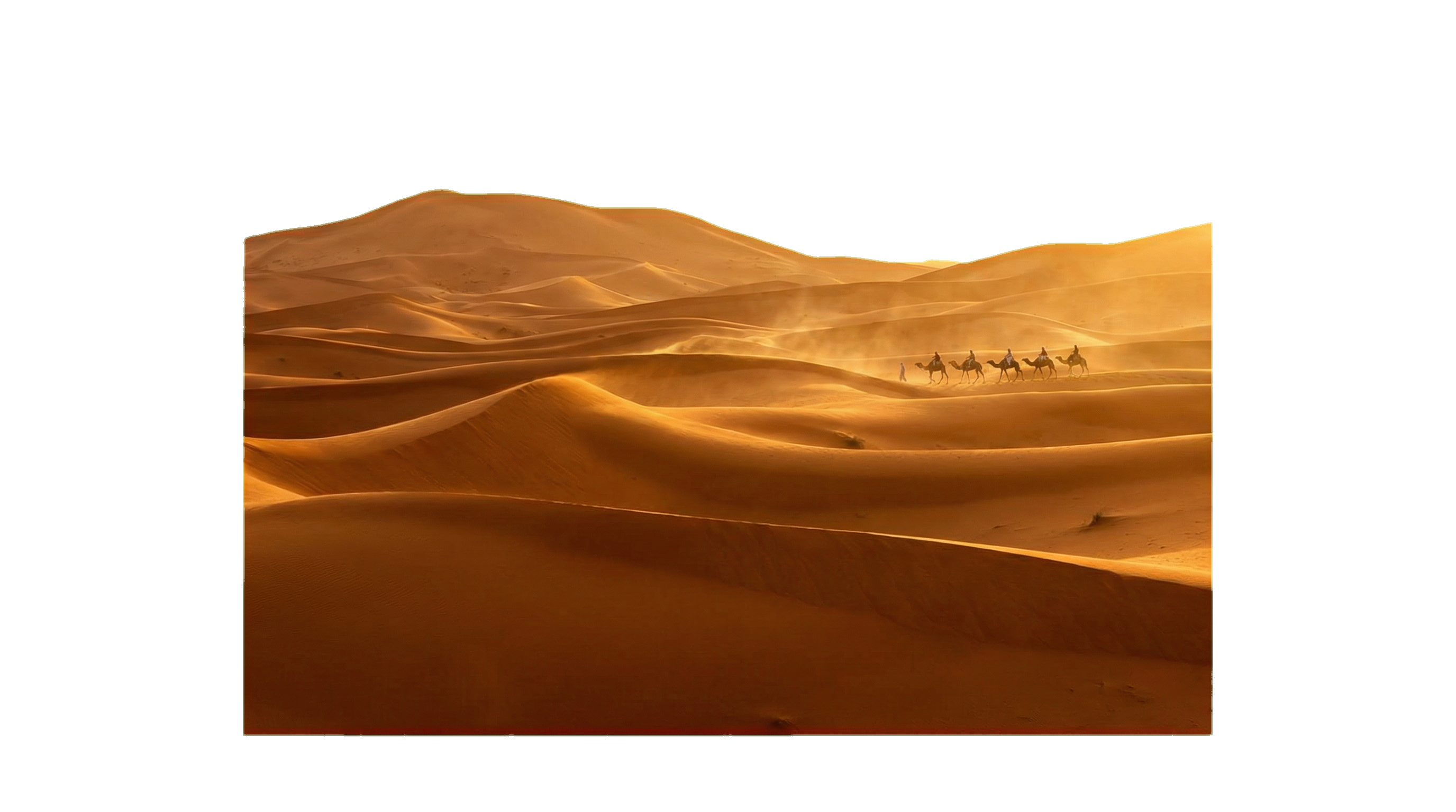 Desert